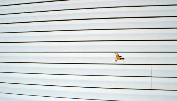 Best Custom Trim and Detailing for Siding  in Boyes Hot Springs, CA
